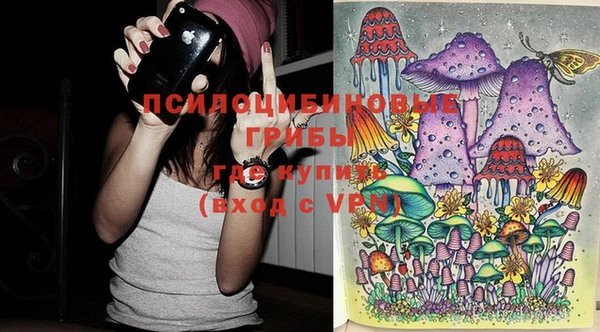 прущие грибы Нея