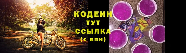 прущие грибы Нея