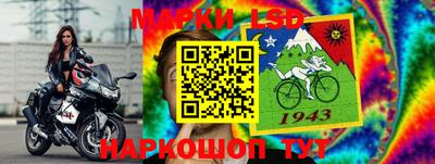 стаф Бузулук