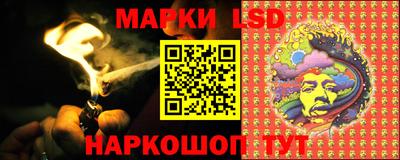индика Бийск
