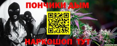 индика Бийск