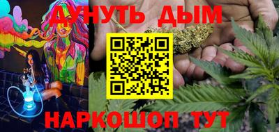 индика Бийск