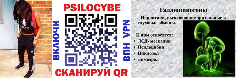Псилоцибиновые грибы Cubensis  Ейск 