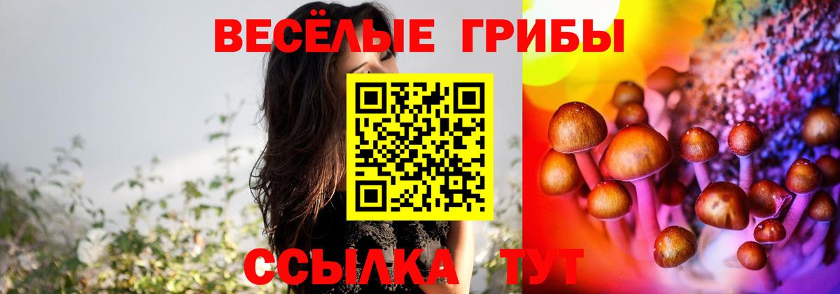 Галлюциногенные грибы MAGIC MUSHROOMS  Ейск 