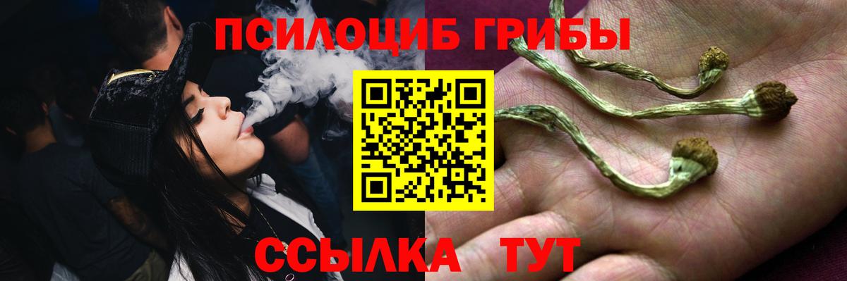 Галлюциногенные грибы Cubensis Ейск