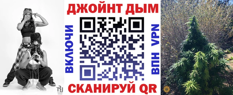 Бошки Шишки план  Ейск 